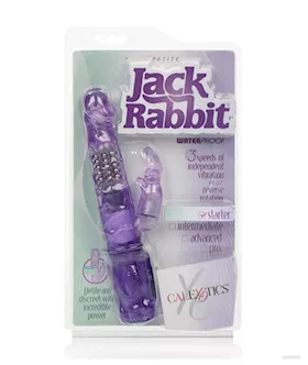 Petite Jack Rabbit