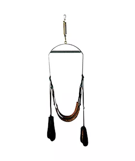 Wild Sex Collection Spinning Sex Swing