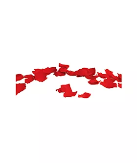With Love Rose Scented Silk Petals