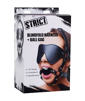 Strict Eye Mask Harness With Ball Gag