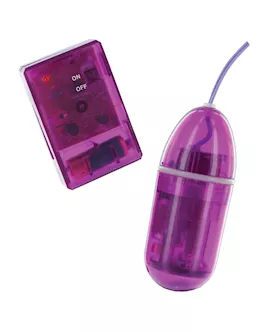 Waterproof Remote Control Bulletpr