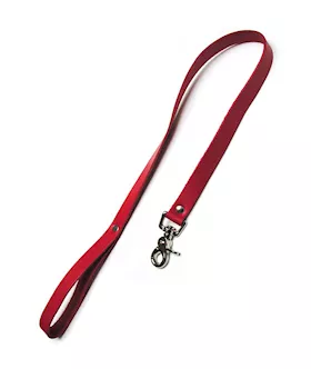Leather Leash