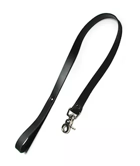Leather Leash