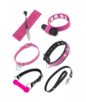 Joanna Angel Power Play Kit