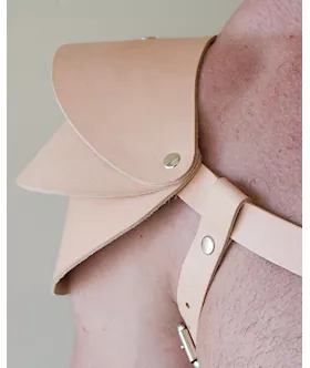 Apollo Harness
