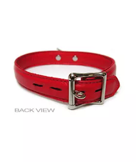 Premium Garment Leather Lined Collar