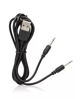 Lock-n-play Remote Panty Teaser