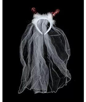 Willy Headband With Veil