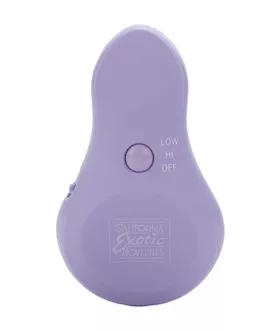 Dr Laura Berman Intimate Basics Pomona Palm Sized Massager