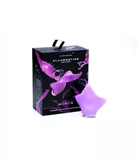 Clandestine Devices Mimic Rechargeable Massager