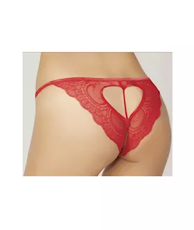 Lace Heart Open Crotch Panty