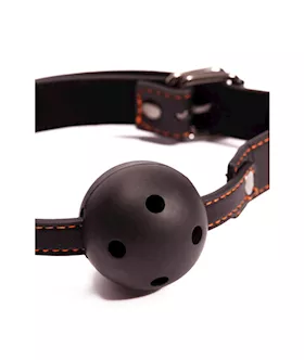 Pornhub Ultimate Bondage Set