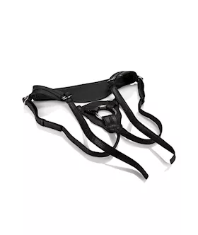 Her Royal Harness The Queen