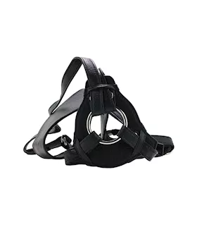 Her Royal Harness The Queen