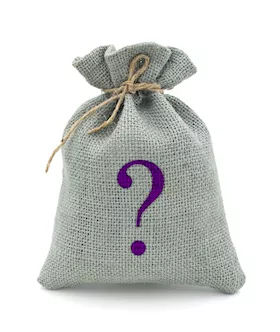 Mystery Bag  Mens Masturbators