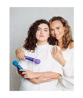 Le Wand Petite Rechargeable Massager