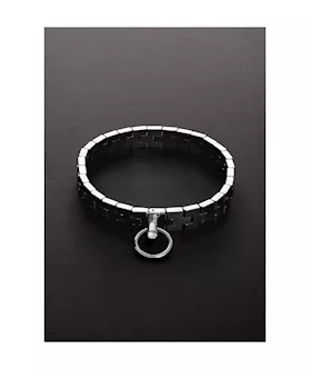 Watchband Collar With Lock