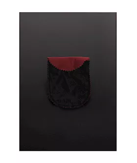 Watchband Collar With Lock