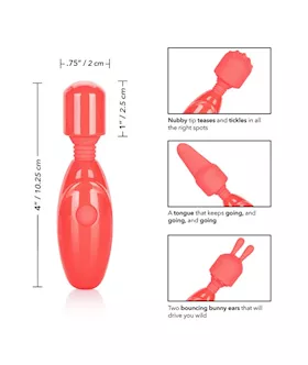 Rechargeable Massager Kit