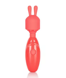 Rechargeable Massager Kit