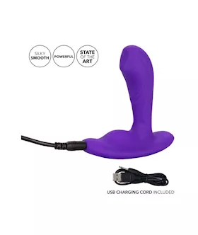 Silicone Remote Pinpoint Pleaser