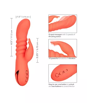 California Dreaming Orange County Cutie