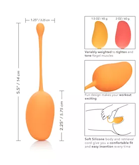 Calexotics Kegel Training Set