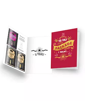 Naughty Notes Greeting Card The Only Package I Want