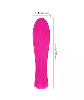 Ian Bullet Massager