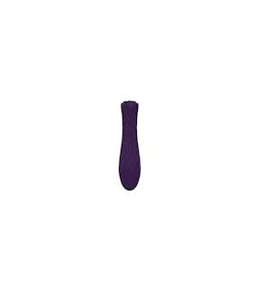 Ian Bullet Massager