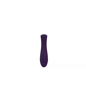 Ian Bullet Massager
