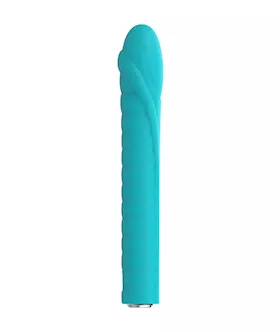 Dixie Vibrator
