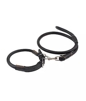 Sexy Slave Collar And Leash 