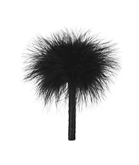 Passion Kit - Chantilly