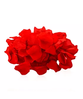 Passion Kit - Nobrakes