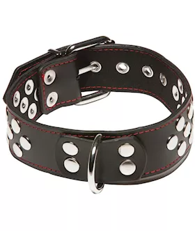 X-play D-ring Collar