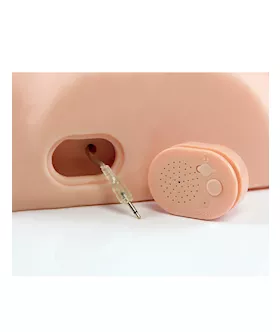 Pdx Male Dirty Talk Interactive Ride Him Silly