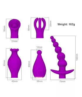 Replaceable Head Massager 