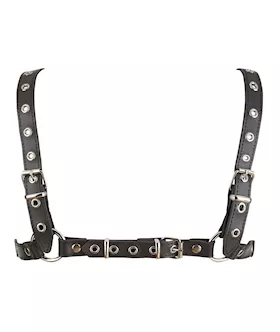 Leather Harness