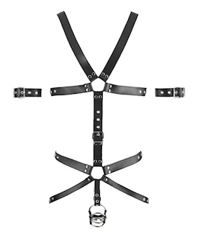 Gus Mens Leather Harness 
