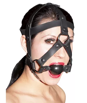 Leather Head Harness And Gag