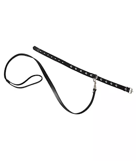 Leather Collar And Leash
