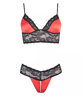 Floral Lace Trimmed Bra Set