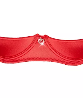 Desire Shelf Bra Set