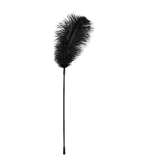 Bad Kitty Feather Tickler