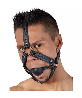 Bad Kitty Head Harness With Ball Gag
