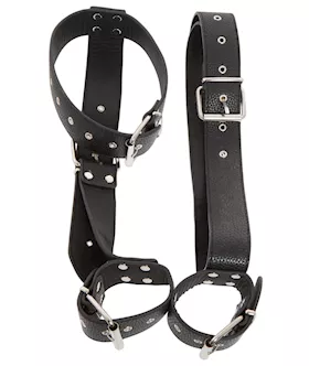 Neck And Hand Restraints