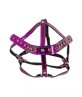 Bad Kitty Give Em Head Harness