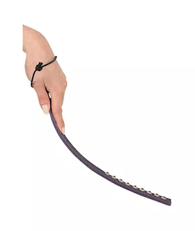 Bad Kitty Pearly Paddle