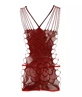 Mesh And Lace Dress